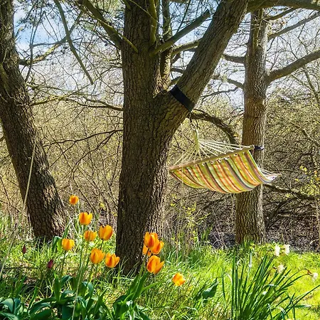 別荘 6 Person In Romo