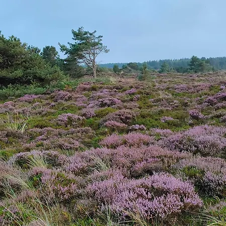 6 Person In Romo 別荘 Lakolk