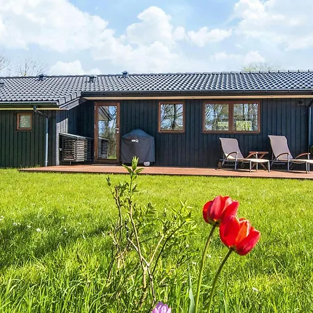 Vakantiehuis 4 Star In Romo Lakolk